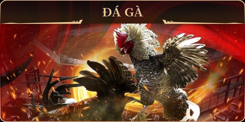 kubet 77 casino ĐĂNG NHẬP